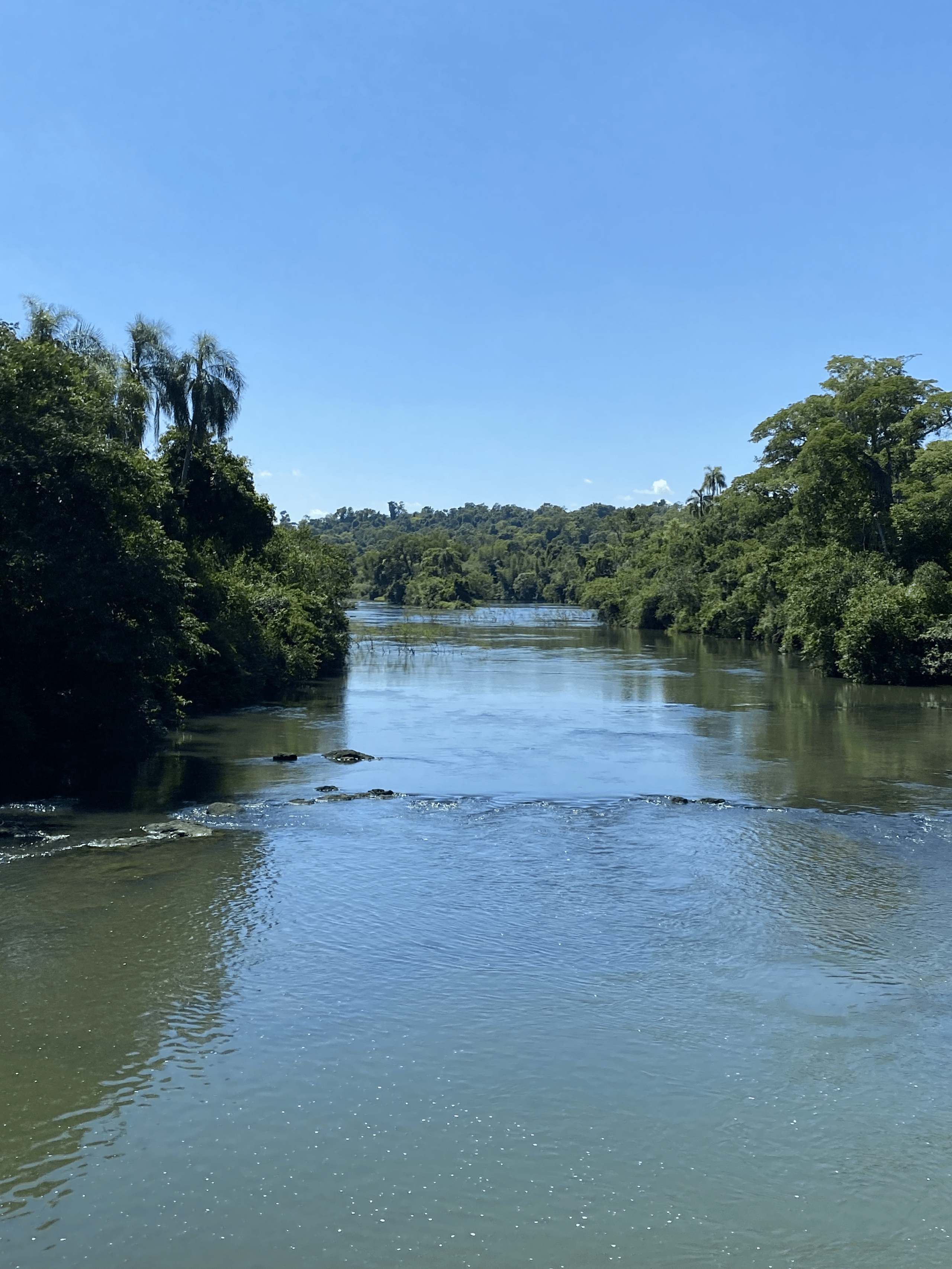 Things to do in Argentina, visit misiones