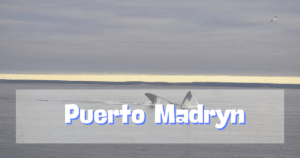 Puerto Madryn