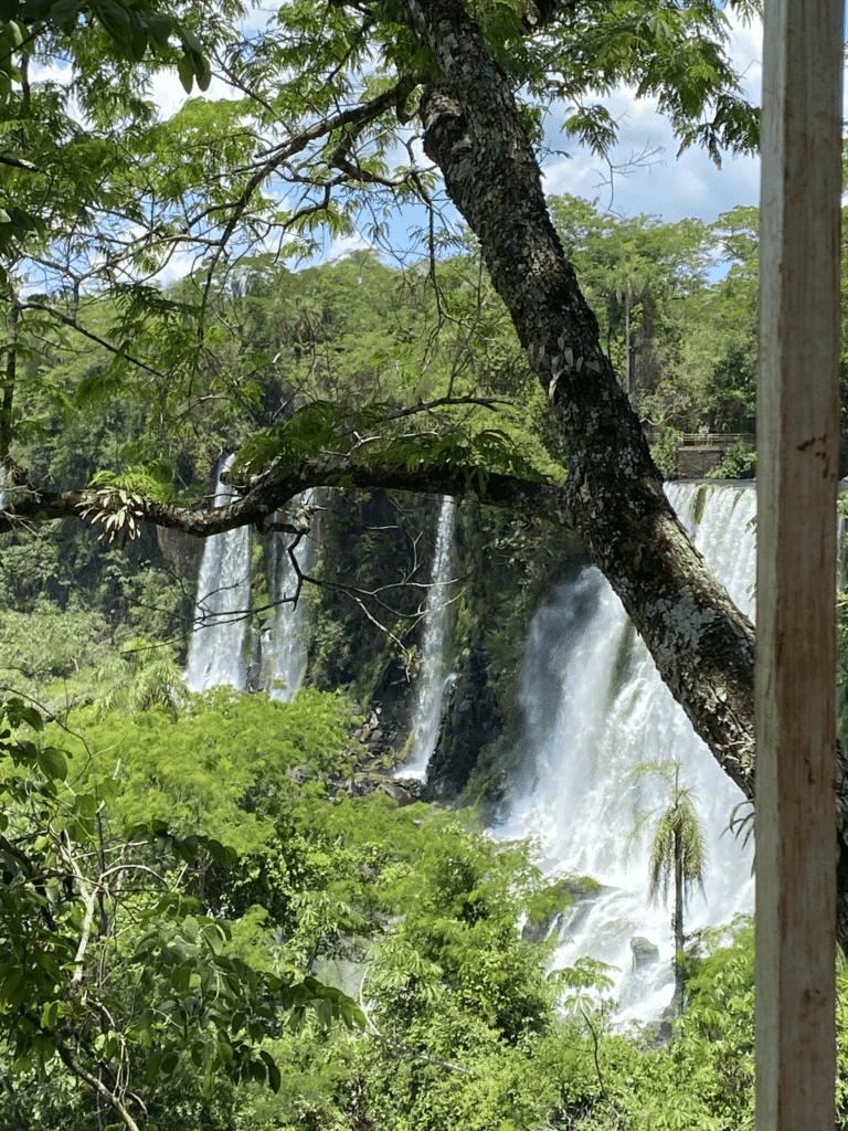 iguazu falls view