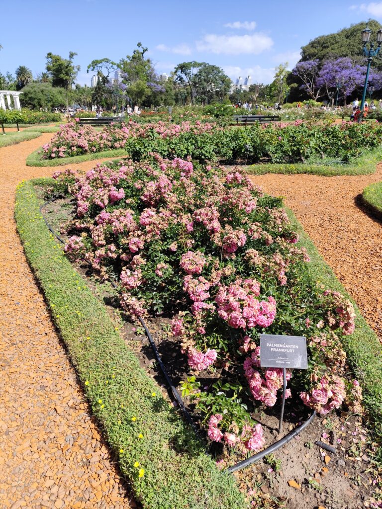 Things to do in buenos aires. Rose Garden (El Rosedal).